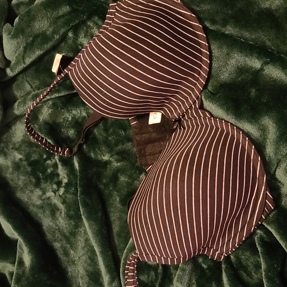 NWT T shirt bra